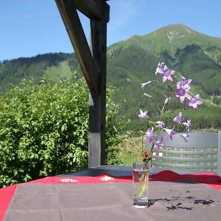 Chalé Feriendorf Chalet Type A Hohentauern